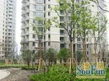 电梯房,主卧朝南,交通便利,精装修,诚意出售