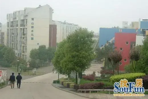 实景图