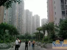 广厦城巢上 3室2厅 东南