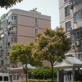 川沙·旺族家园·3室·2厅