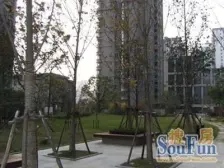 临平路 · 爱家豪庭 · 1室 · 1厅