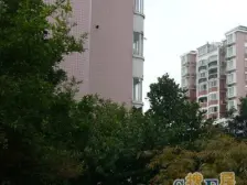 产权清晰 中间楼层 无抵押,新上房源