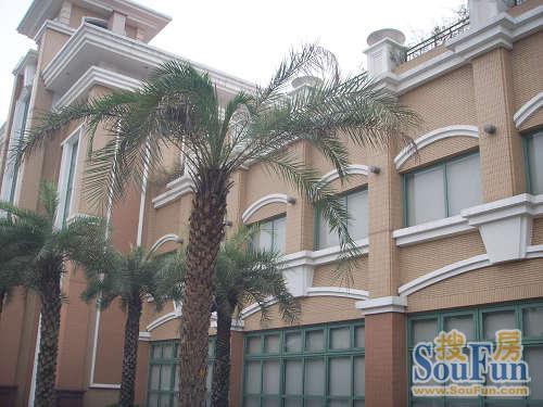 比华利豪园实景图