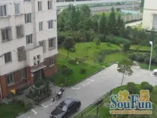 杨东·东城新村·2室·1厅