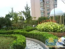 ??花园位置,满五委一、2000年小区,房型正气全明