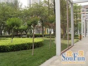 天府长城丽日清风3室2厅东西
