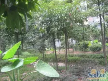 石坪桥 地博春天二房45万