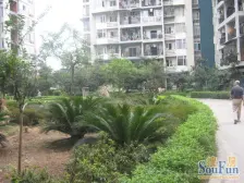 石坪桥 地博春天二房48万