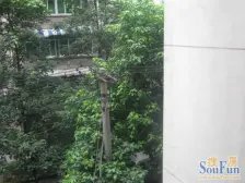 石坪桥 地博春天二房55万