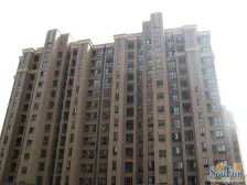 富顿街区 4室2厅2卫 南