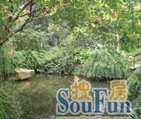 人车分流小区,正气大三房,有车位 ,改善好选择,看房方便