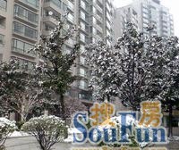 店长直推-满五年南北通、有车位、视野好、人车分流!