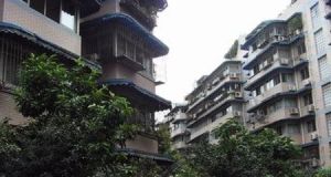 蜀都苑2室2厅南