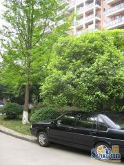 蜀馨苑A区2室2厅东南