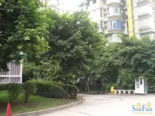 南桥寺 小天鹅花园一房