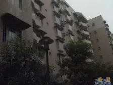 大渡口地铁站旁 正规两房 户型方正