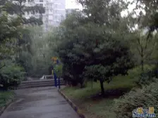 翠华园小区 1室1厅 东