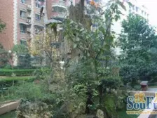 出行方便,有自己的商圈,走哪都*