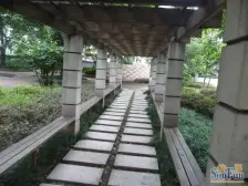 洋河片区 金地花园二房92万