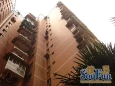 谢家湾 建园小区一房25万