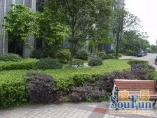 大两房户型,采光面很广,楼层很不错