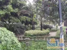 茶园新区 长青湖八房1300万