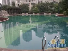 茶园新区 长青湖四房325万