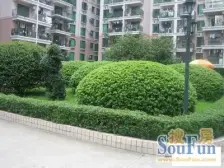 三峡广场 紫荆花园三房86万