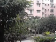 七星岗电梯房,业主安心出售,总价低