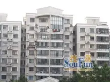 莘城三期电梯大两房 楼层好 位置号 南北通透 价格可谈