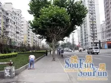 海叶新苑 3室2厅 北 南