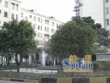 梅园新村(嘉定) 1室1厅 南