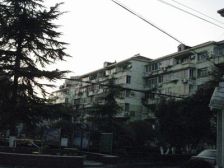 梅园新村(嘉定)1室1厅南