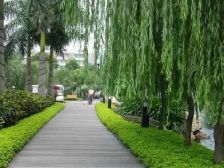 露台近地铁精装修拎包入住西边