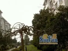 一梯两户,主卧朝南,环境优美,居家装修,诚意出售