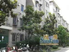 南苑八村 1室1厅 南