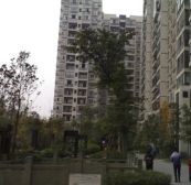 诚品上院 2室2厅 西南 西