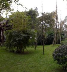 诚品上院 3室2厅 南