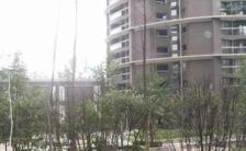 诚品上院 3室1厅 西南