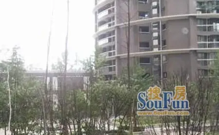 诚品上院实景图