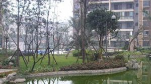 蓝岸丽景3室2厅西