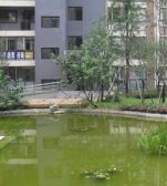 蓝岸丽景2室2厅南