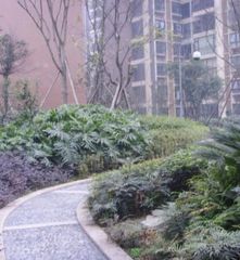 蓝岸丽景2室1厅东南