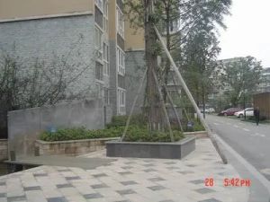 沙河丽景3室2厅西南