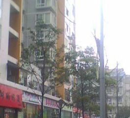 秀舍天涯1室1厅南