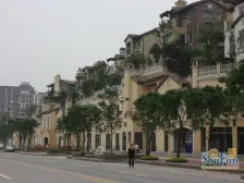 茶园新区 坡岭顿小镇五房820万