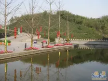 清水房 现浇已做 塔楼 自己可以装成自己喜欢的风格