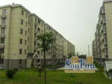 诚意出租 大三房 位置好 价格好谈