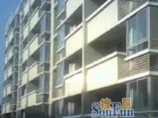 张江东+唐镇国际社区+2号线+刚需盘+优质户型+好停车