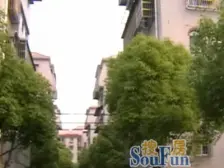 孙桥公寓 3室2厅 南